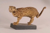 石虎藏品圖，第4張